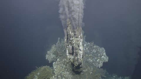 hydrothermal vents endeavour