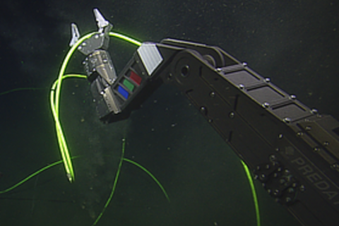 ROV manipulator
