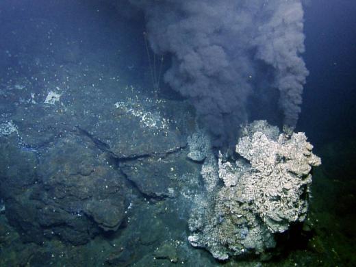 Endeavour hydrothermal vent field