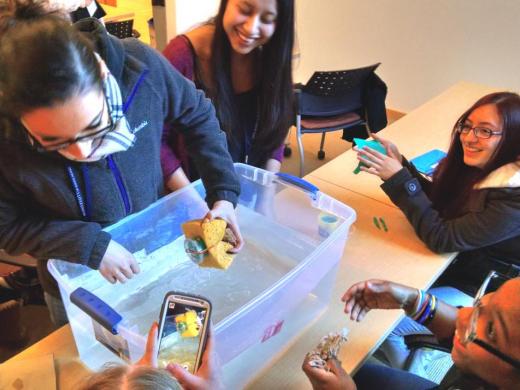 A Sinking Feeling STEM Learning Module