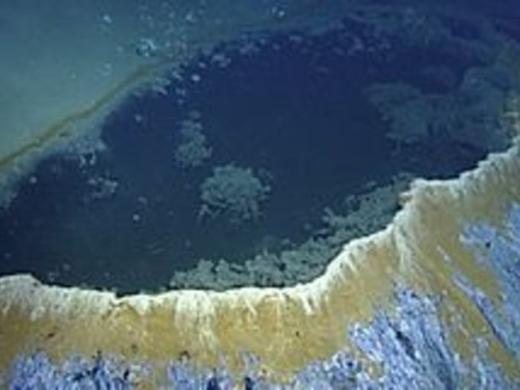 brine pool