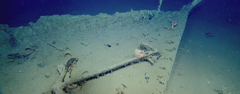 Bow of shipwreck