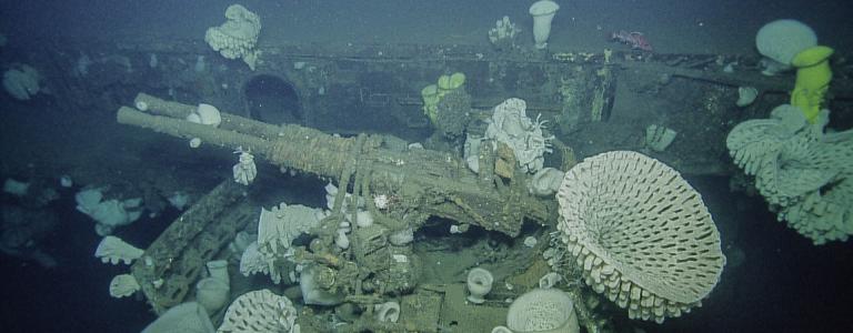 Gun with corals on the USS Independence wreck