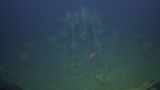 Shipwreck image