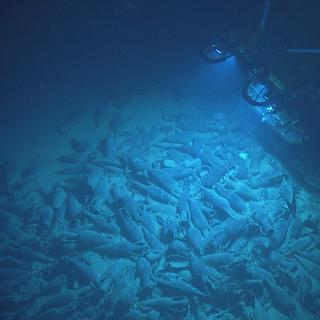 Knidos K dive site