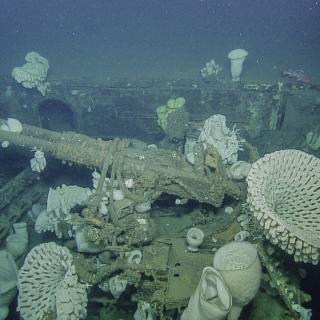 Gun with corals on the USS Independence wreck