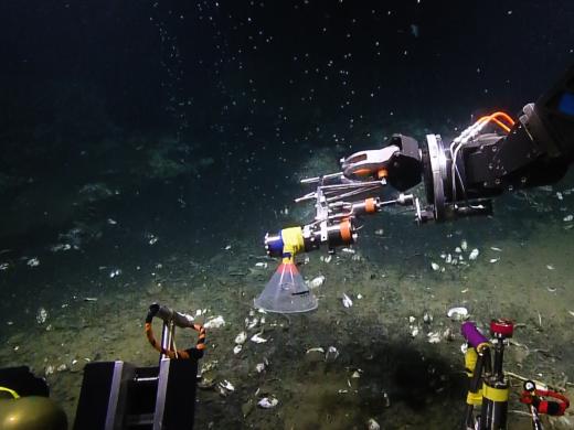 Sampling bubbles with Hercules manipulator