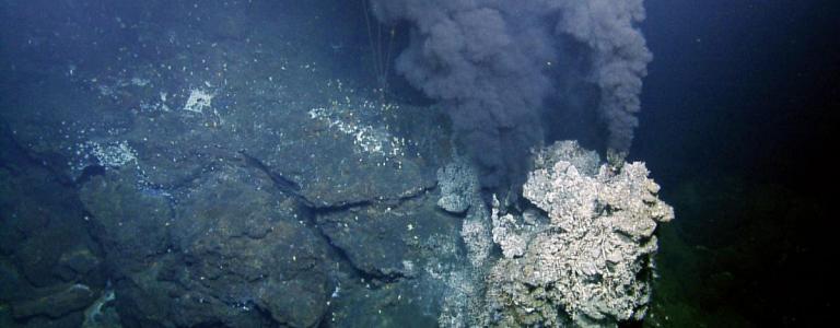 Endeavour hydrothermal vent field