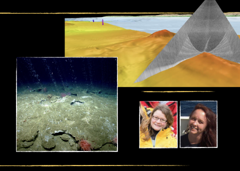 Collage of methane seep and a multibeam mapping cross section
