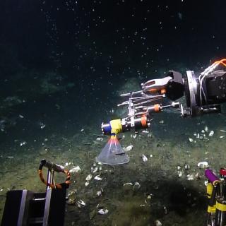 Sampling bubbles with Hercules manipulator