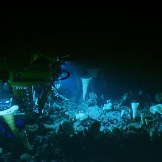 Hercules diving among sponges